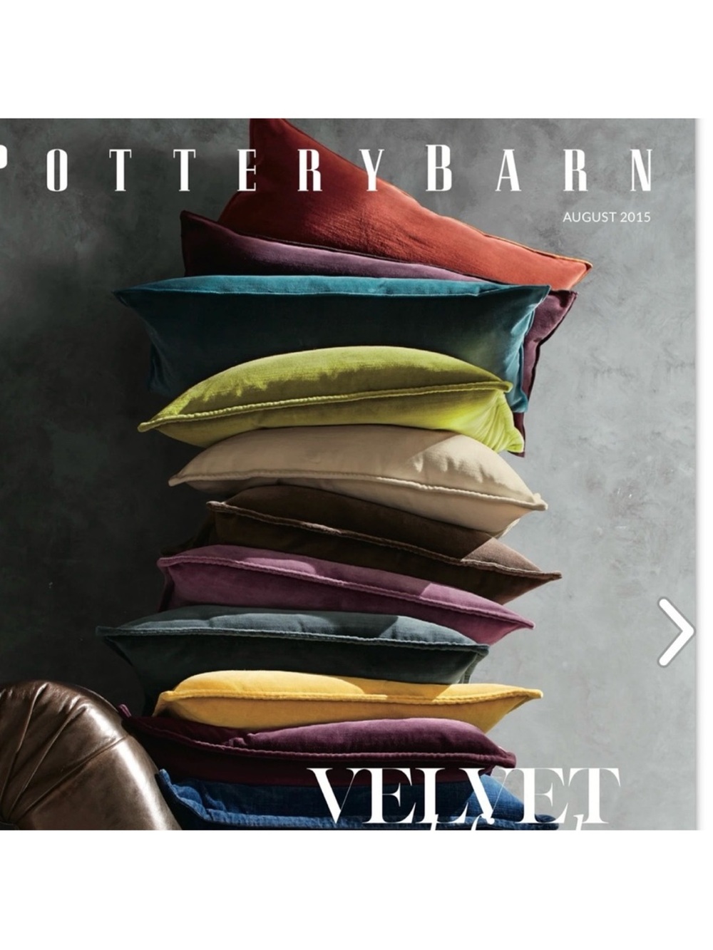 Pottery Barn velour accent pillow